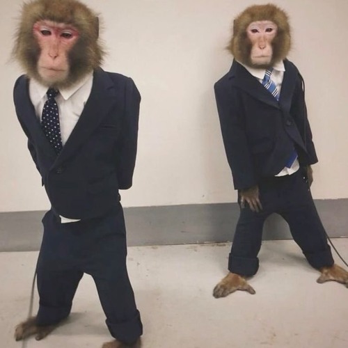 tuhnell- tuhnell @338strike (ketaset) @thatboyburke