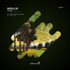 Stream 298 - Ricardo Villalobos - In The Mix: Taka Taka