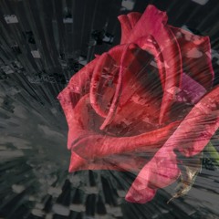 Do 4 Love Remix ft. EdeKali [Prod. Elusiv]