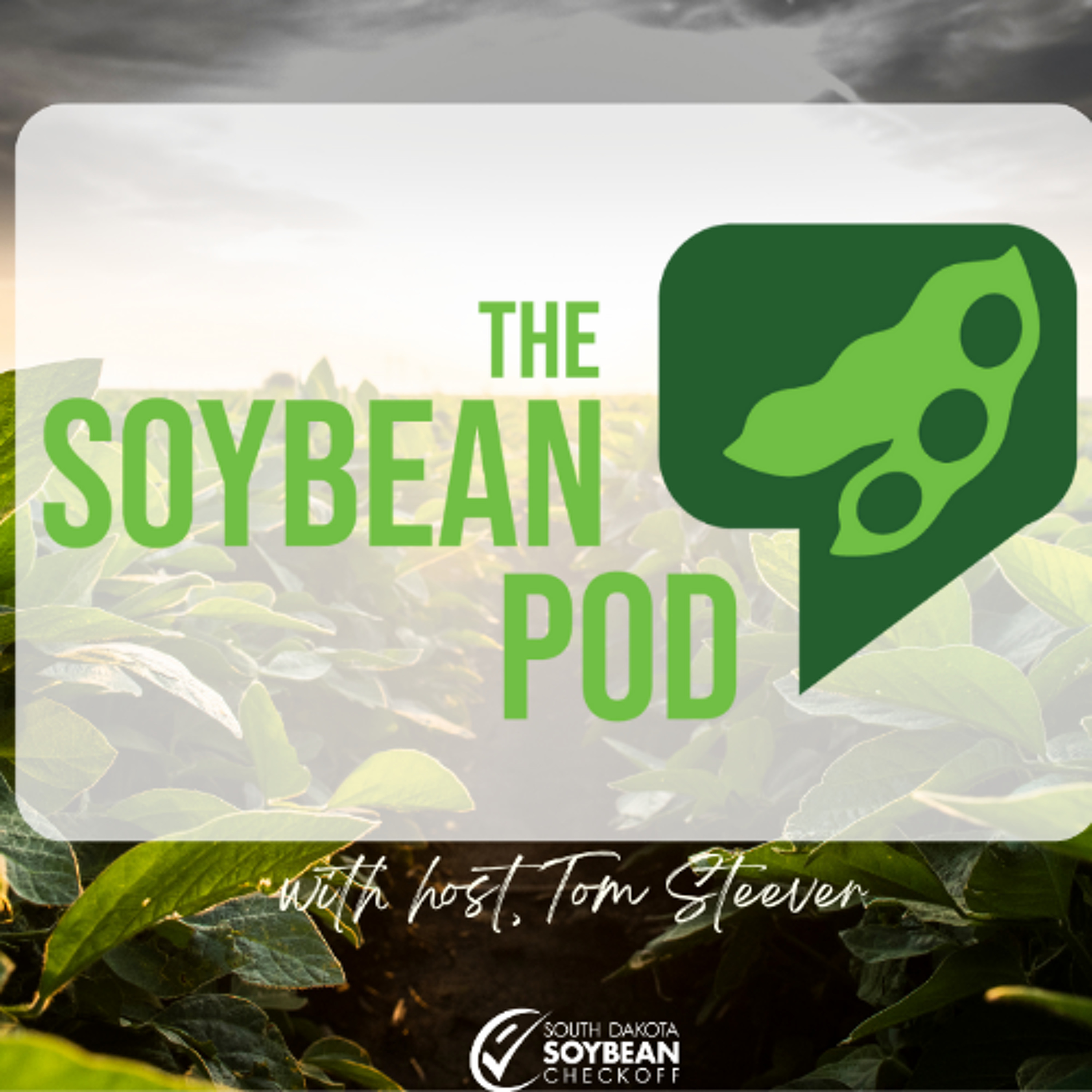 From Soybeans to Safety: The Innovation Behind SoyFoam with Alan Snipes episode artwork