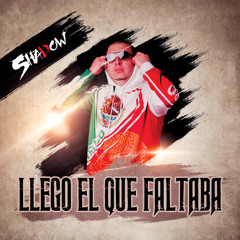 Llego el que faltaba! DJ SHADOW CHILEE