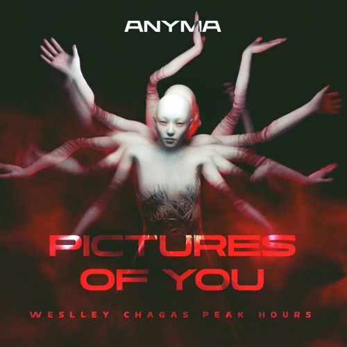 Anyma - Pictures Of You (Weslley Chagas e Dani Brasil Peak Hours)