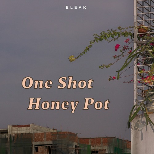 One Shot Honey Pot