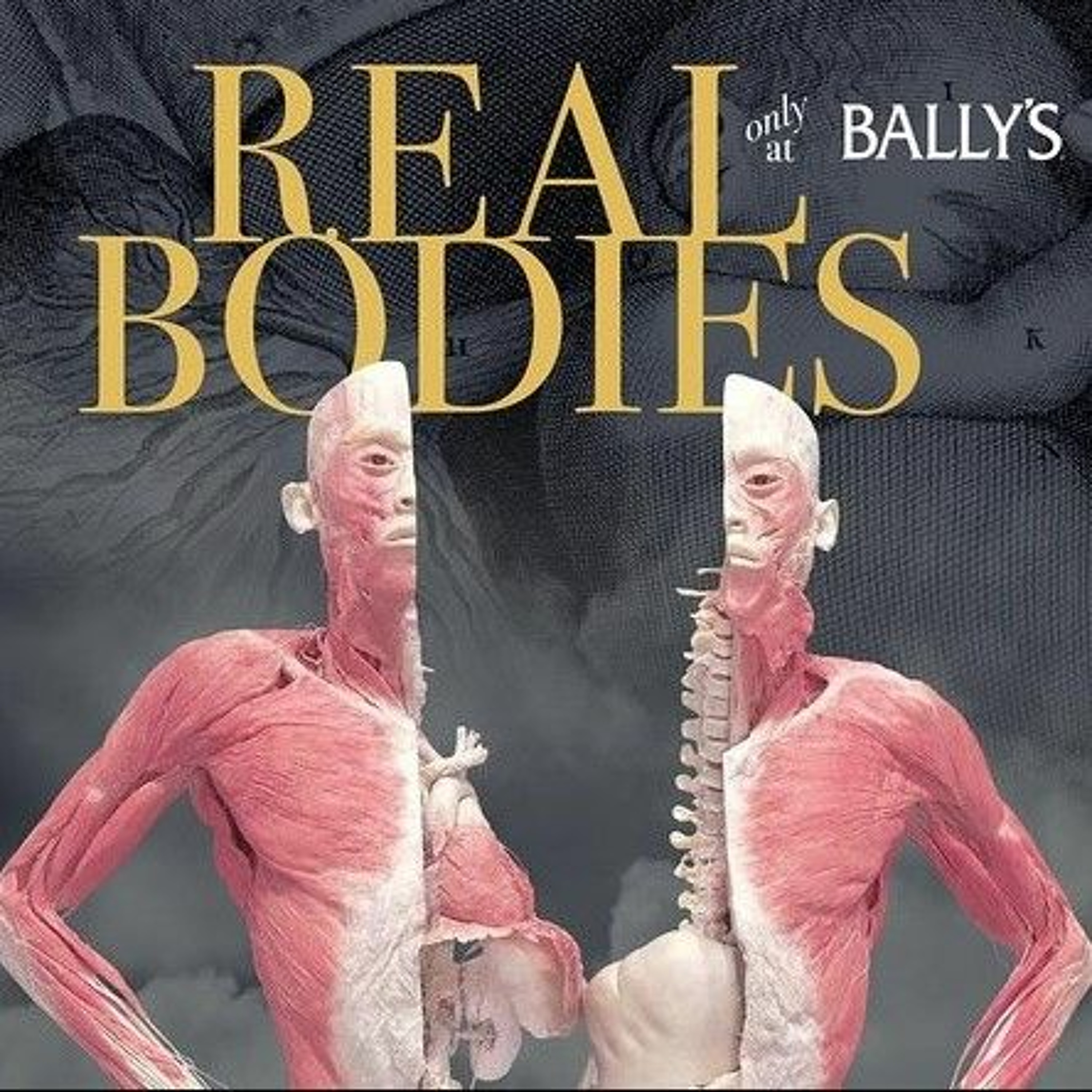 VNS PODCAST - FROM AUGUST 14, 2021 - TOM ZALLER_REAL BODIES