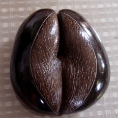 Wake Up - Aufwachen!