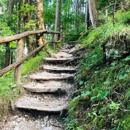 Gedicht Stufen Von Hermann Hesse
