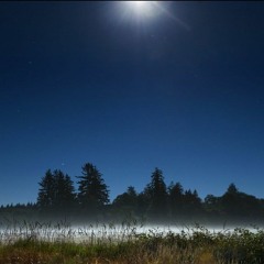 -Mr.MakeHerDance-Night Lovell-.Shad3 Remix.-