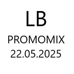Lazyboyz Promo Mix 22.2.25 (Free Download)
