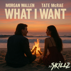 What I Want Remix (DJ Skillz Remix)(XMiX)