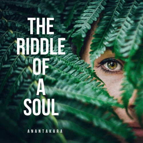 The Riddle Of A Soul