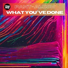 Pant-Aloon - What You've Done (Radio Edit)