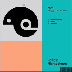 PREMIERE: Mool - Granatapfel (Original Mix) [Nightcolours Recordings]