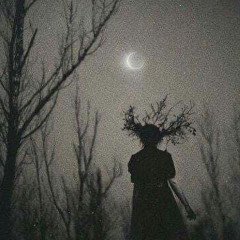 Les Métamorphoses du Vampire, Baudelaire