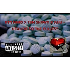 Ktn Nard x Tbm Shawn x Jujuwitda40 - Healing To Da Fullest