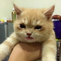 난 가끔 눈물을 흘린다 ㅠㅠ... (TWICE - TT SUBUN ㅠㅠ remix)