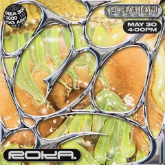 Fixation w. ROKA. - 30 May 2024