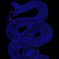 555. Blue Fanged Viper (prod egobreak x gorskiyy)