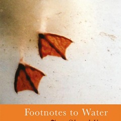 Footnotes to Water