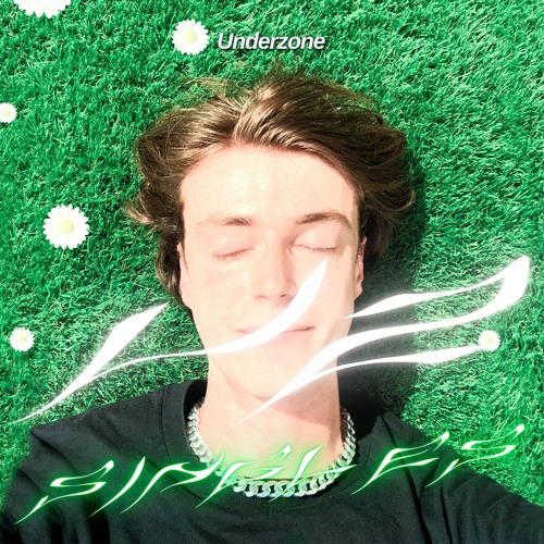 Hoymans - You Will Never End