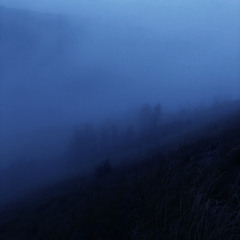 illness