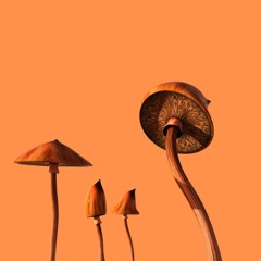 Fast bpm Trap Beat Instrumental - "MUSHROOMS" - Bouncy Type Beat 2021