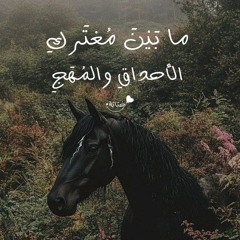 ما بين معترك الأحداق| مصطفى محمود| صوتيّات حُبَابَة