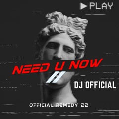 OFFICIAL REMEDY #22 - NEED U NOW