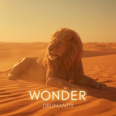DRUMANTIX - WONDER (PRE ORDER)