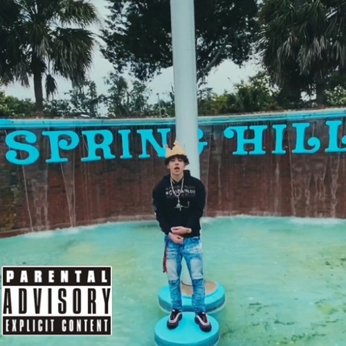 King of Spring Hill feat. TOKYO_BLOW 👑