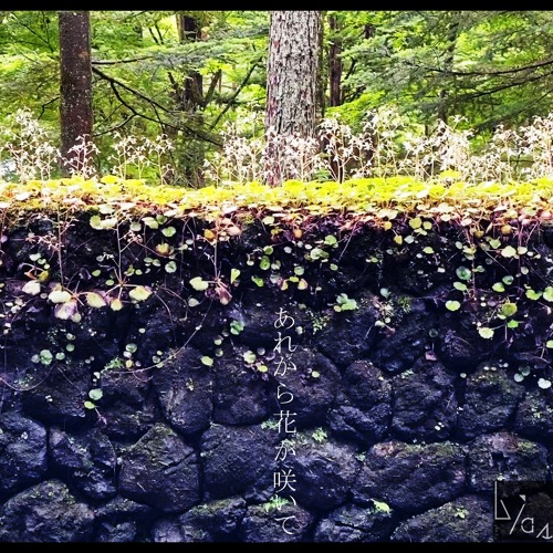 Stream あれから花が咲いて After That The Flower Bloomed By Bias Listen Online For Free On Soundcloud