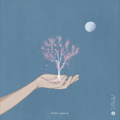 Project AER & v i v - Safe Space