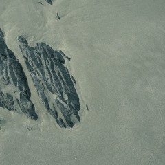 Lauge - Scape-2