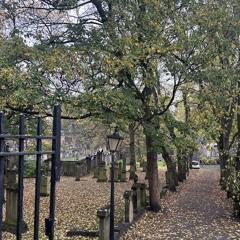 Beautiful Boy (cover)