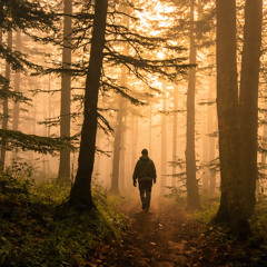 A Light in the Fog