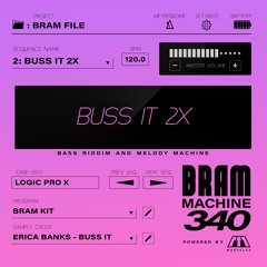 BRAM FILE | SEQ 2: BUSS IT 2X