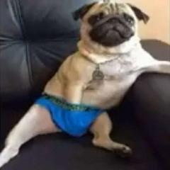 sdfgsdfg