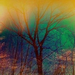 Into your Horizon