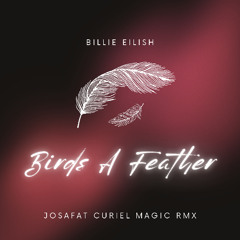 ++++++++++++Birds++++++++++++  (Josafat Curiel Magic Remix)Cancion completa en el Link de descarga