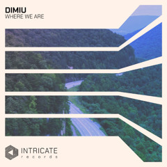 Dimiu - Where We Are (Original Mix)