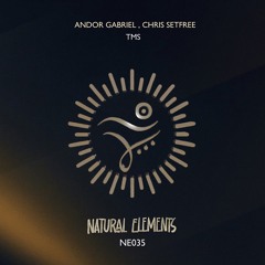 Andor Gabriel, Chris Setfree - TMS (Short Mix)
