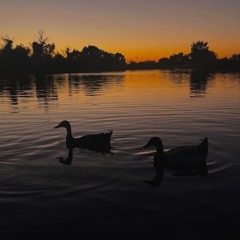 HUH - Ugly Duckling (VV Cover).mp3