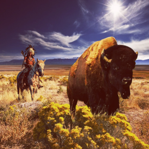 Path of the Buffalo Hunter