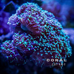 Coral [free download]