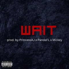 PandaFL - Wait A Sec feat KMRS (prod. By PrincessAJ x PandaFL x Mickey) recorded 10/4/23