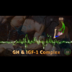 GH & IGF-1 Complex - Muscle & Bone Growth, Recovery & Regeneration