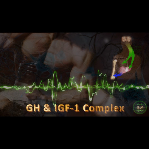 GH & IGF-1 Complex - Muscle & Bone Growth, Recovery & Regeneration