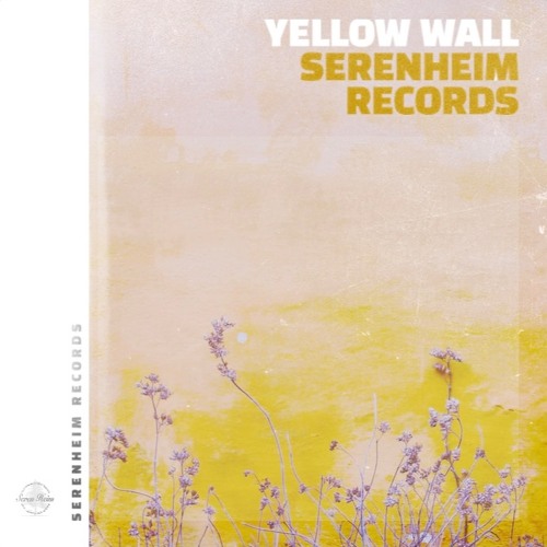 Yellow Wall- Monta