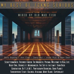 My Best of FCKNG Serious 4 / The Final