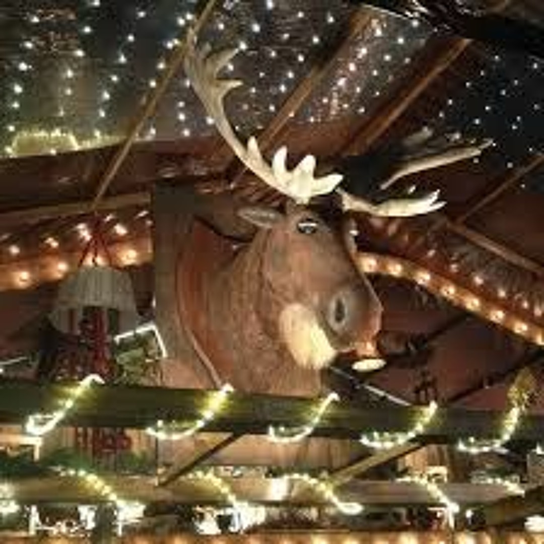 Elch-Make-up-Tasche Mit Spruch 'I Just Really Like Moose' – Lustiges Geschenk Für Elchfans