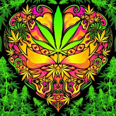 RAPTURE X EXCITE | MARIJUANA